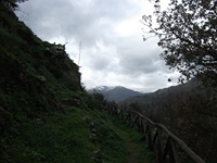 cantara gurne23122011 223